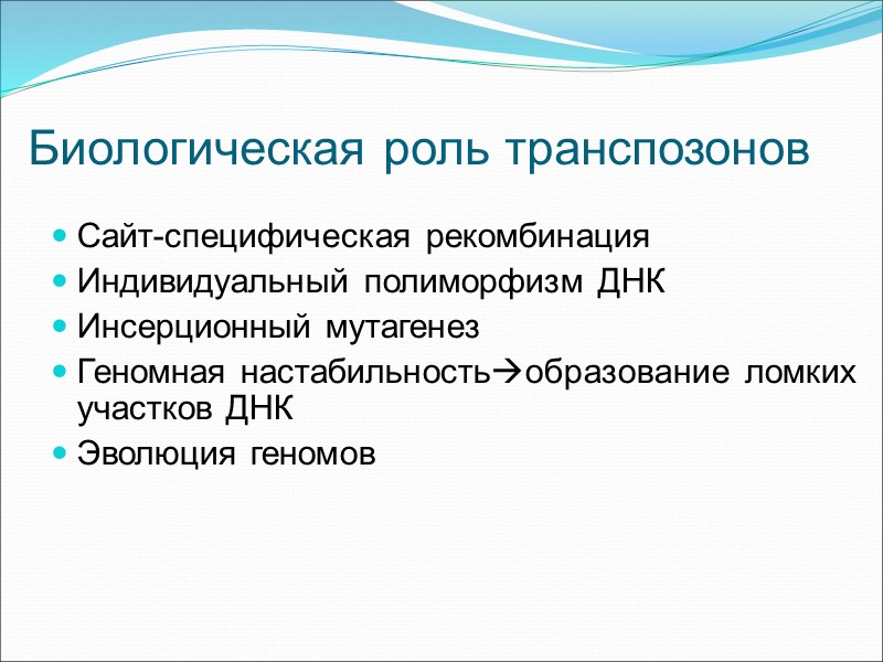 Биологическая роль транспозонов Сайт-специфическая рекомбинация Индивидуальный полиморфизм ДНК Инсерционный мутагенез Геномная настабильностьобразование ломких участков
